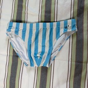 Blue and White Striped Swim Briefs